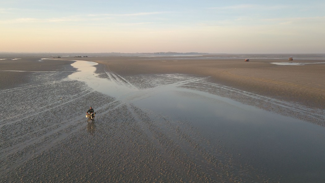 Pêche à pied en Baie de Somme, ramassage des coques 